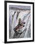 Niagara Falls, Rum Runner-Aldo Molinari-Framed Art Print