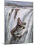 Niagara Falls, Rum Runner-Aldo Molinari-Mounted Art Print