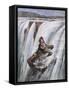 Niagara Falls, Rum Runner-Aldo Molinari-Framed Stretched Canvas