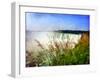 Niagara Falls With Grasses-Michelle Calkins-Framed Photo