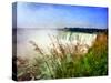 Niagara Falls With Grasses-Michelle Calkins-Stretched Canvas