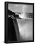 Essential Black