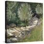 Niagara River Rapids-John Henry Twachtman-Stretched Canvas