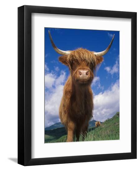 Premium Photographic Print, , large