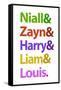 Niall Zayn Harry Liam & Louis Music Poster-null-Framed Stretched Canvas