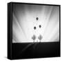 Canvas Black