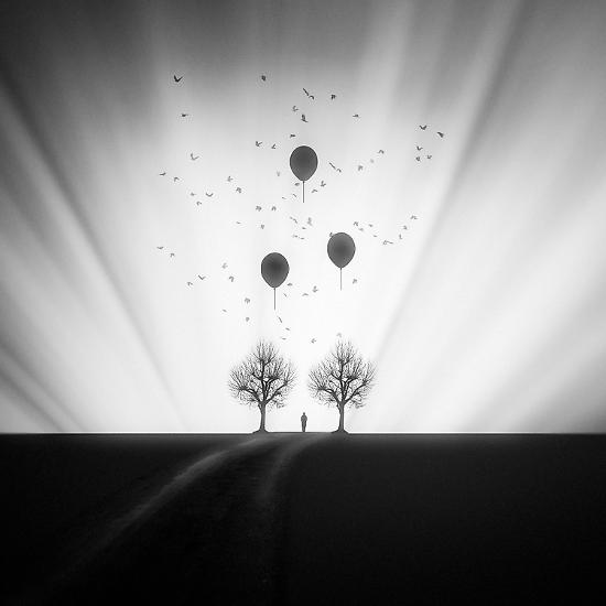 Photographic Print, , large