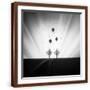 Brown Frame