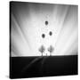 Stretched Canvas