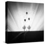Stretched Canvas