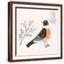 Brown Frame