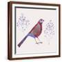 Brown Frame