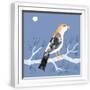 White Frame
