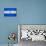 Nicaragua Flag Design with Wood Patterning - Flags of the World Series-Philippe Hugonnard-Art Print displayed on a wall