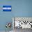 Nicaragua Flag Design with Wood Patterning - Flags of the World Series-Philippe Hugonnard-Stretched Canvas displayed on a wall