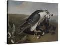 Stretched Canvas
