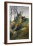 Brown Frame