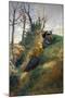 Wood Mount