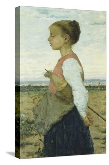 Stretched Canvas Print, , large