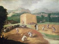 Winnowing the Grain-Niccolo dell' Abate-Framed Stretched Canvas