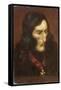 Niccolo Paganini Italian Musician-Eichhorn-Framed Stretched Canvas