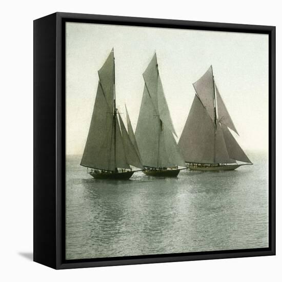 Nice (Alpes-Maritimes, France), Race of Sailing Boats, Circa 1890-1895-Leon, Levy et Fils-Framed Stretched Canvas