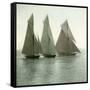 Nice (Alpes-Maritimes, France), Race of Sailing Boats, Circa 1890-1895-Leon, Levy et Fils-Framed Stretched Canvas