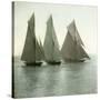 Nice (Alpes-Maritimes, France), Race of Sailing Boats, Circa 1890-1895-Leon, Levy et Fils-Stretched Canvas