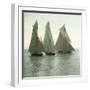 Nice (Alpes-Maritimes, France), Race of Sailing Boats, Circa 1890-1895-Leon, Levy et Fils-Framed Photographic Print