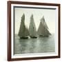 Nice (Alpes-Maritimes, France), Race of Sailing Boats, Circa 1890-1895-Leon, Levy et Fils-Framed Photographic Print