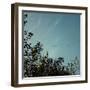 Nice autumn day in the Teutoburg Forest.-Nadja Jacke-Framed Photographic Print