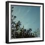 Nice autumn day in the Teutoburg Forest.-Nadja Jacke-Framed Photographic Print