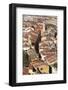 Nice, Cote D'Azur, Provence, France-John Miller-Framed Photographic Print