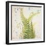 Nice Ferns I-Patricia Pinto-Framed Art Print