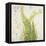 Nice Ferns I-Patricia Pinto-Framed Stretched Canvas
