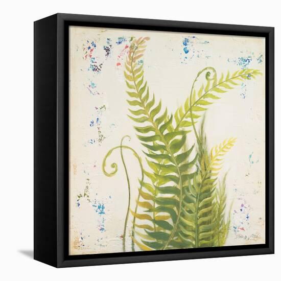 Nice Ferns I-Patricia Pinto-Framed Stretched Canvas