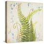 Nice Ferns I-Patricia Pinto-Stretched Canvas