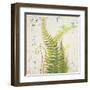 Nice Ferns I-Patricia Pinto-Framed Art Print