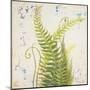 Nice Ferns I-Patricia Pinto-Mounted Art Print