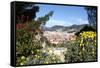 Nice France Landscape Photo Art Print Poster-null-Framed Stretched Canvas