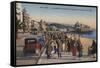 Nice, La Nouvelle Promenade Des Anglais, Le Palais De La Jetee-null-Framed Stretched Canvas