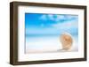 Niceseashell  with Ocean , Beach and Seascape, Shallow Dof-lenka-Framed Photographic Print