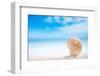 Niceseashell  with Ocean , Beach and Seascape, Shallow Dof-lenka-Framed Photographic Print