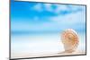 Niceseashell  with Ocean , Beach and Seascape, Shallow Dof-lenka-Mounted Photographic Print