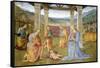 Niche with Annunciation, Christ in Glory and Nativity-Pietro Perugino-Framed Stretched Canvas