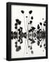 Essential Black