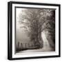 Black Frame