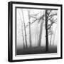 Black Frame