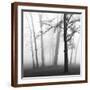 Brown Frame