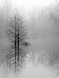 Feather on Liquid Sky-Nicholas Bell-Photographic Print